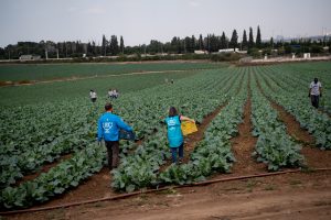 JDC Israel emergency response