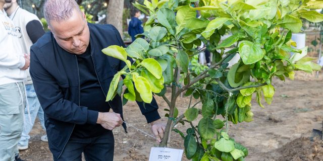 The mayor of Ashkelon participates in planting in the grove of the fallen.