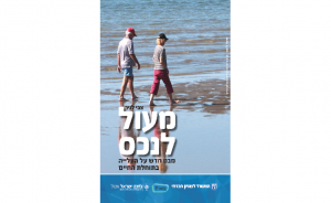 מעול לנכס