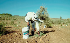 קאסם גנאיים גנום