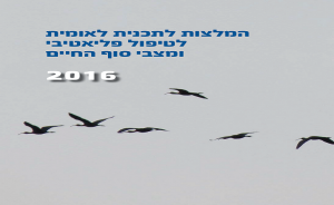 תכנית לאומית לטיפול פליאטיבי