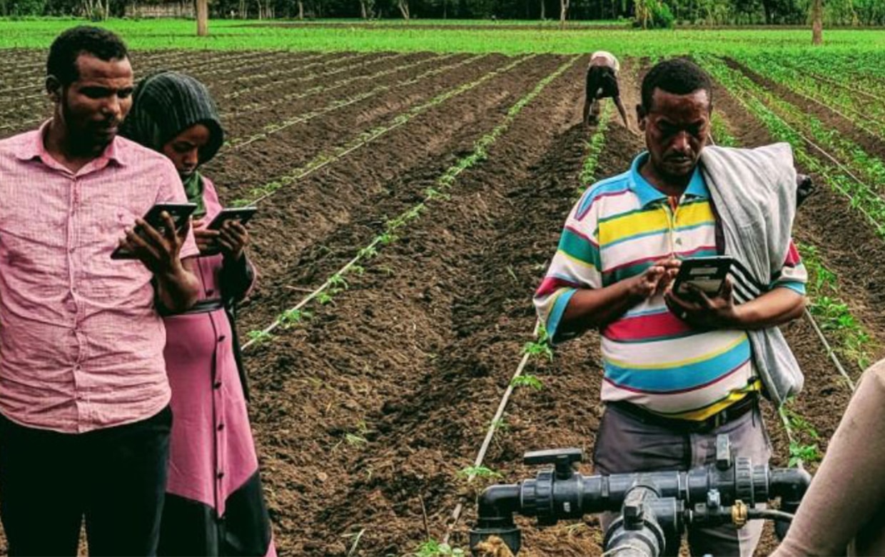 קול קורא: עושים TOV לחקלאות הדיגיטלית באתיופיה