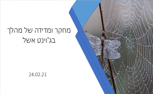 מצגת תפיסת מחקר לאור האימפקט