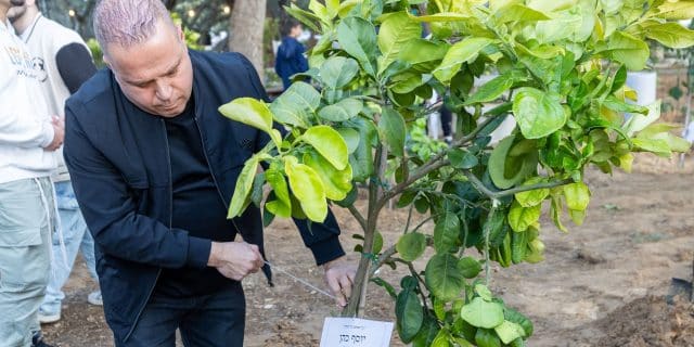 ראש עיריית אשקלון משתתף בנטיעות בחורשת הנופלים.